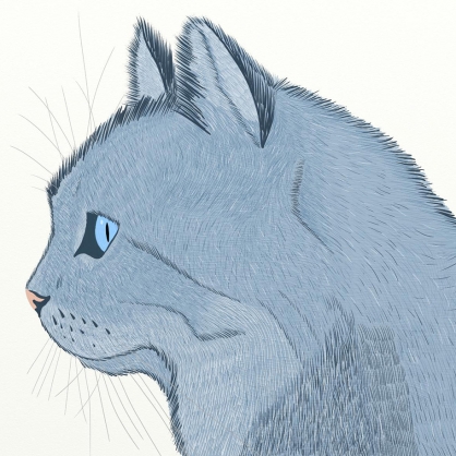 1-Cat-sketch